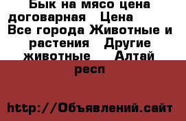 Бык на мясо цена договарная › Цена ­ 300 - Все города Животные и растения » Другие животные   . Алтай респ.